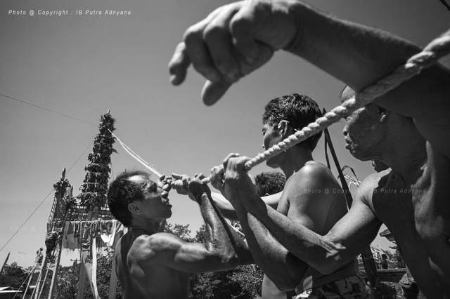 14202636_10205207272461801_8364529270273662164_n