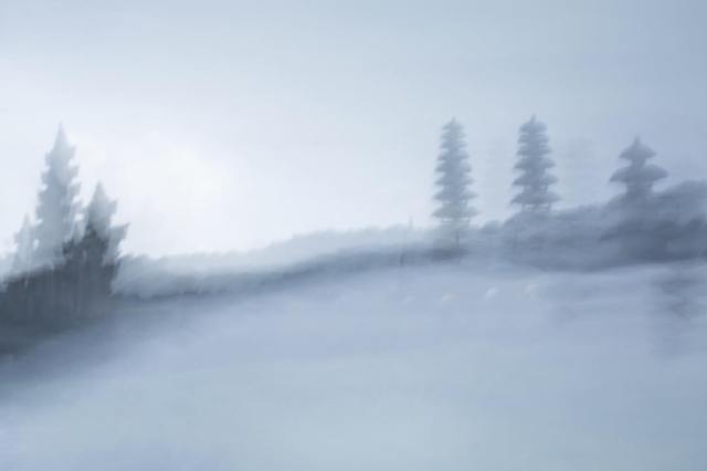 17349626_10209059632832607_6493271523895940897_o