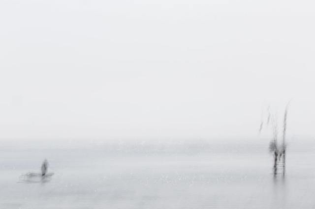 19388435_10209811917719259_8115866998175820987_o